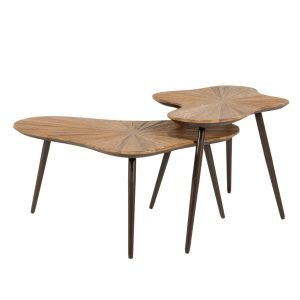 By-Boo Organische Salontafel Loma Teakhout, Set van 2 stuks - Natuurlijk