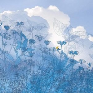 Fotobehang - Blue Sky 400x250cm - Vliesbehang