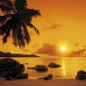 Fotobehang - Sunset 368x254cm - Papierbehang