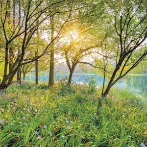 Fotobehang - Spring Lake National Geographic 368x254cm - Papierbehang