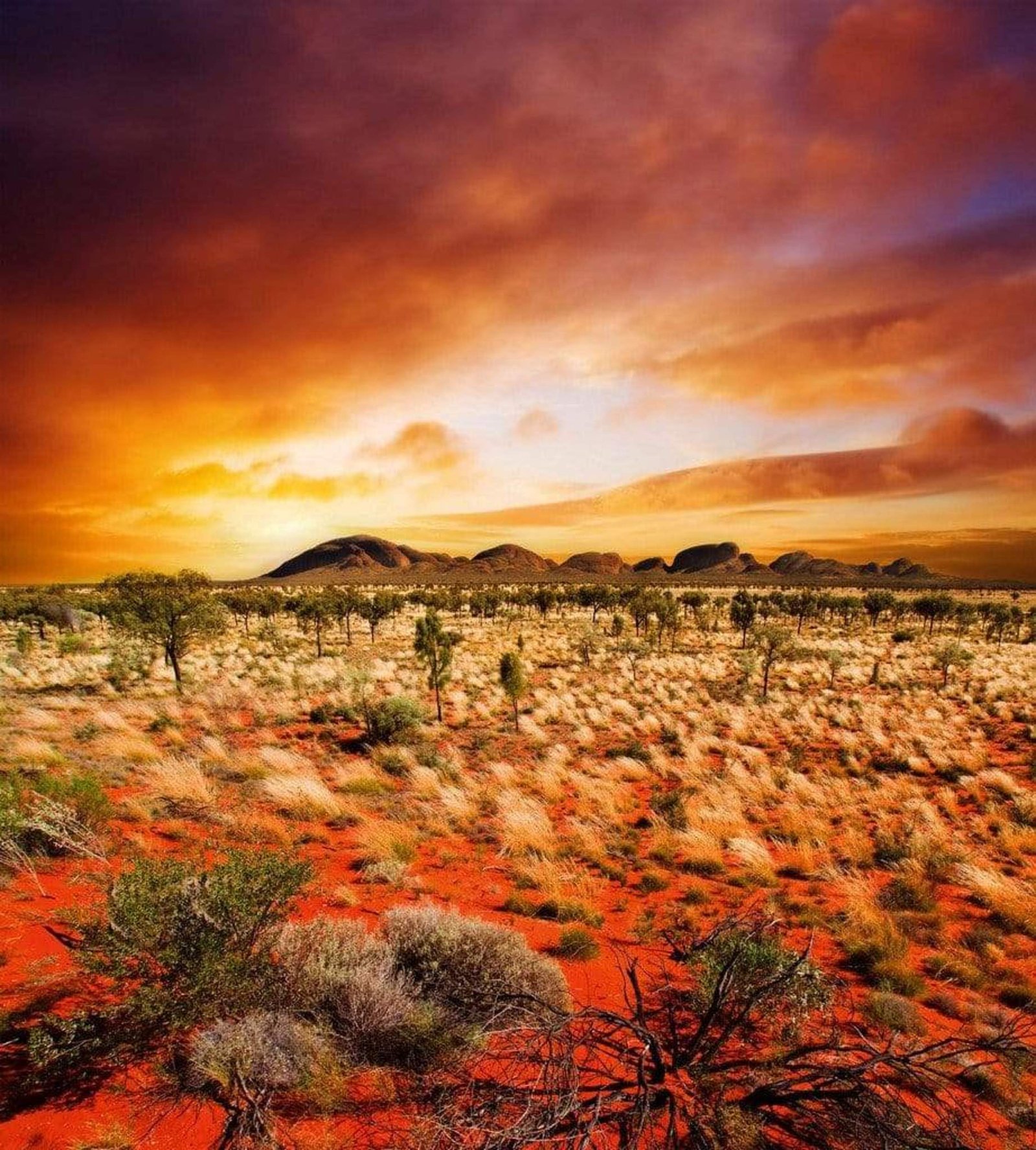 Fotobehang - Australian Landscape 225x250cm - Vliesbehang 1 Fotobehang - Australian Landscape 225x250cm - Vliesbehang