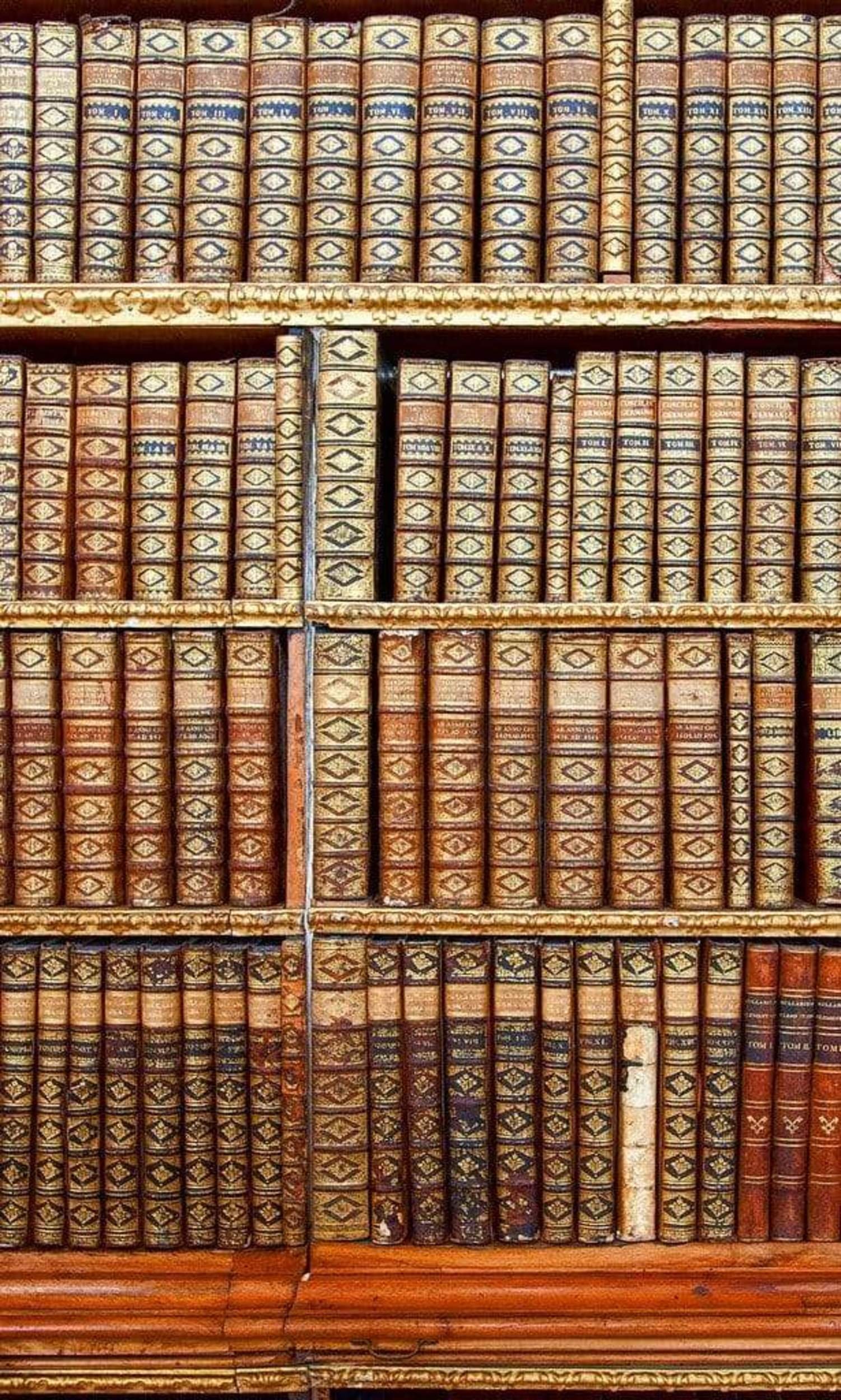 Fotobehang - Library 150x250cm - Vliesbehang 1 Fotobehang - Library 150x250cm - Vliesbehang