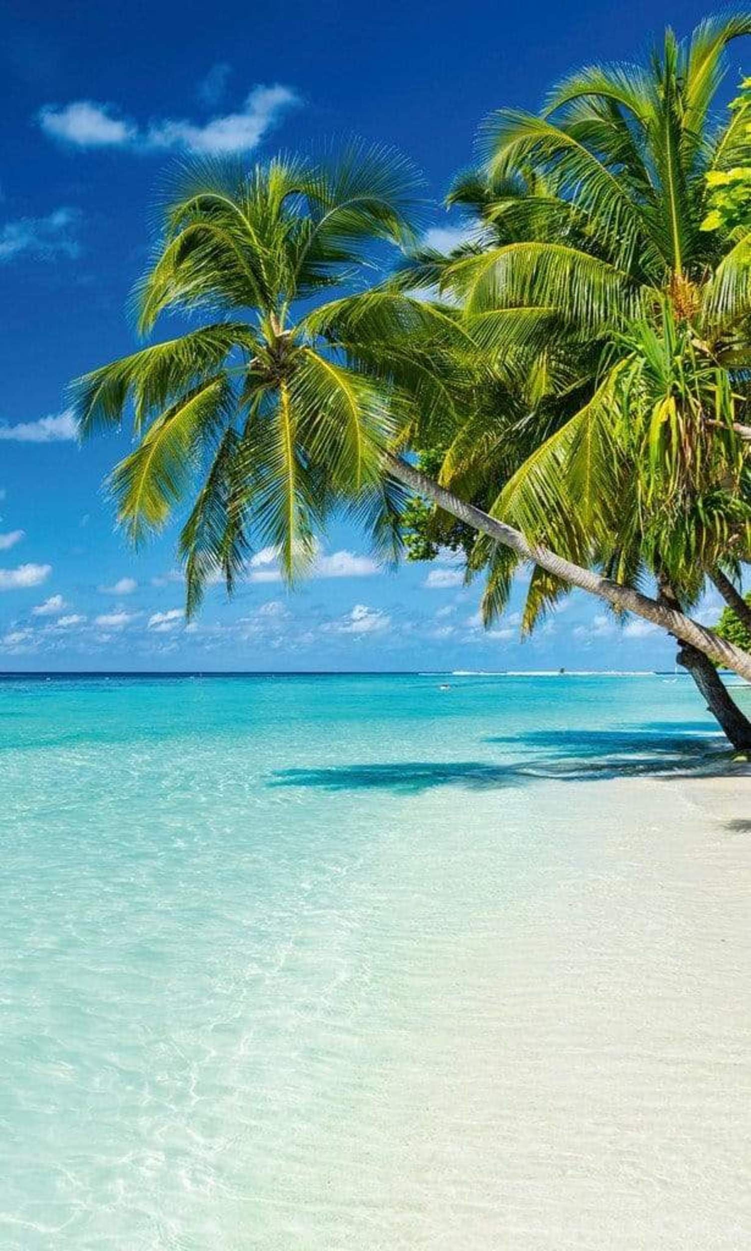 Fotobehang - Paradise Beach 150x250cm - Vliesbehang 1 Fotobehang - Paradise Beach 150x250cm - Vliesbehang