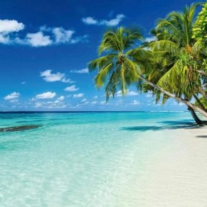 Fotobehang - Paradise Beach 375x250cm - Vliesbehang