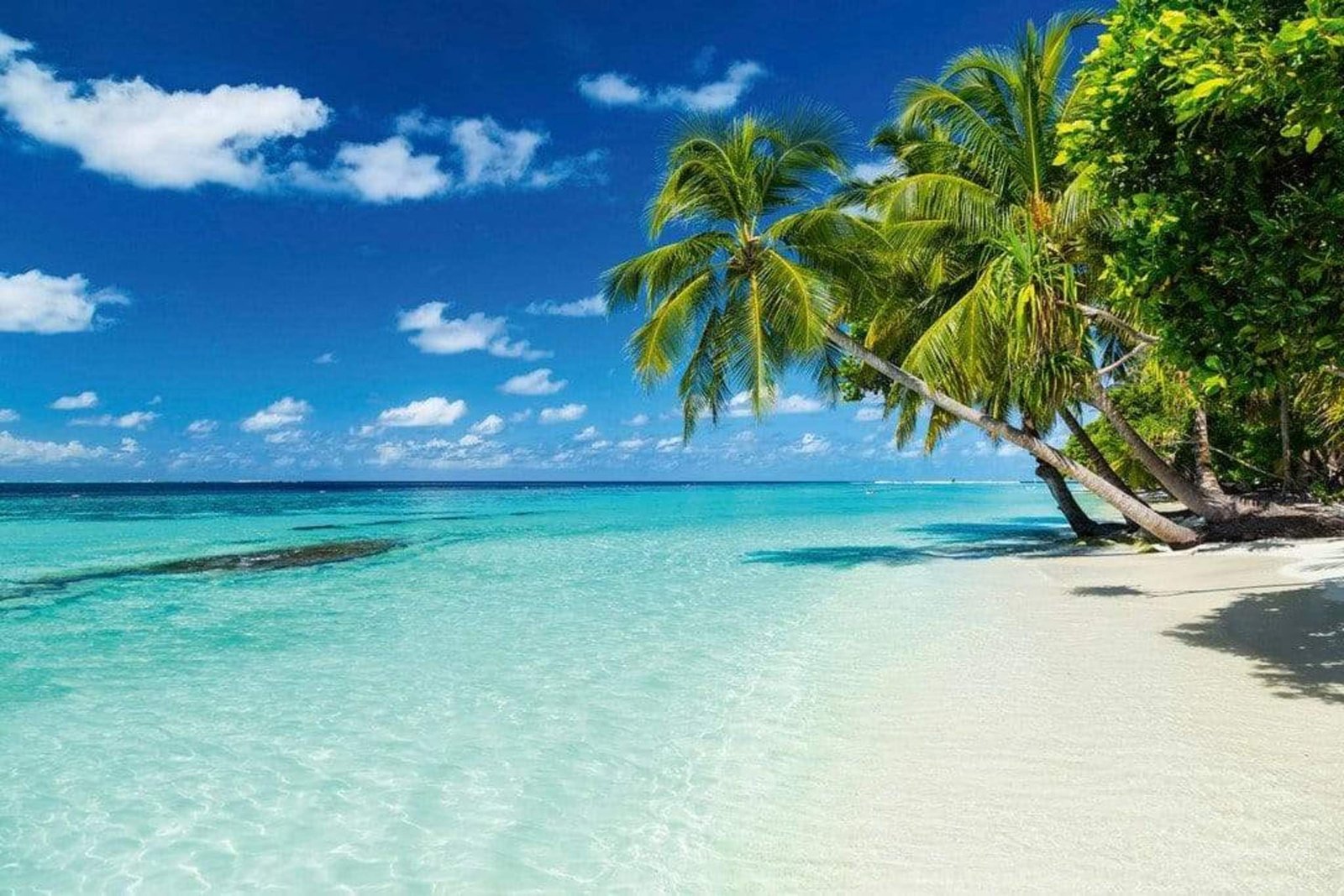 Fotobehang - Paradise Beach 375x250cm - Vliesbehang 1 Fotobehang - Paradise Beach 375x250cm - Vliesbehang