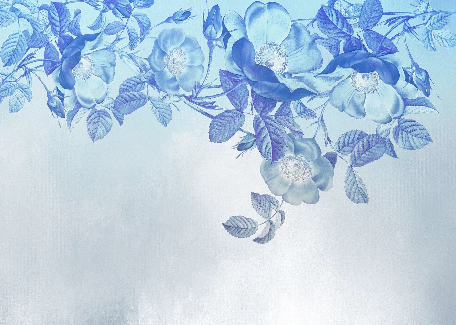 Fotobehang - Blue Aura 350x250cm - Vliesbehang 1 Fotobehang - Blue Aura 350x250cm - Vliesbehang