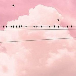 Fotobehang - Cloud Wire 100x250cm - Vliesbehang