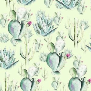 Fotobehang - Cactus Green 200x250cm - Vliesbehang