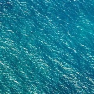 Fotobehang - Blaupause 100x250cm - Vliesbehang