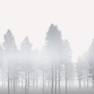 Fotobehang - Silver Haze 400x280cm - Vliesbehang