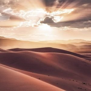 Fotobehang - God Rays 200x250cm - Vliesbehang