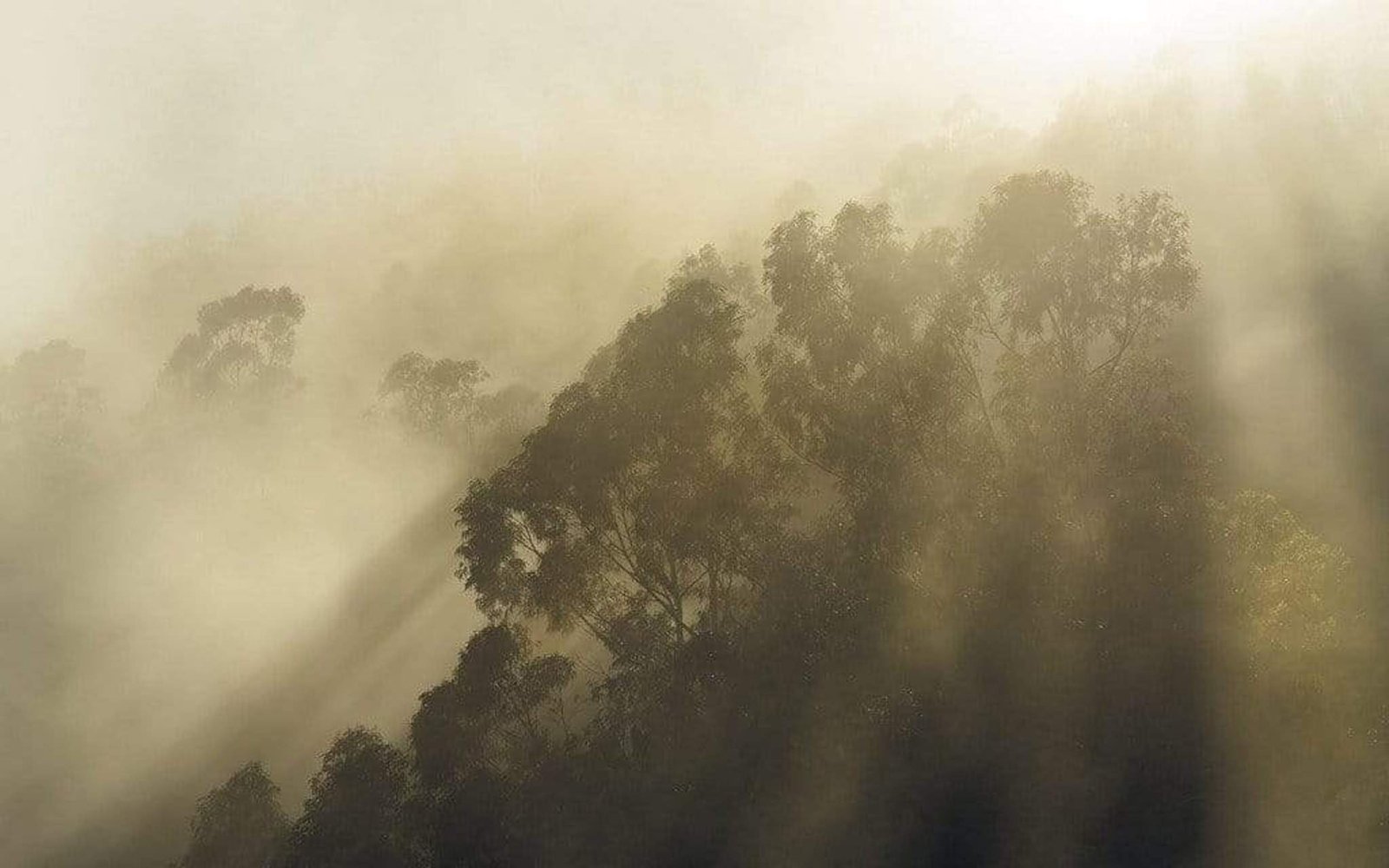 Fotobehang - Misty Mountain 400x250cm - Vliesbehang 1 Fotobehang - Misty Mountain 400x250cm - Vliesbehang