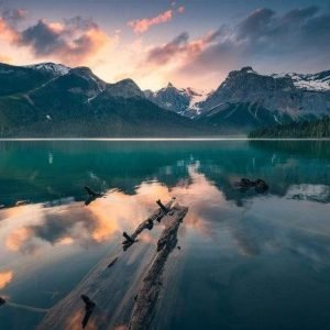 Fotobehang - Burning Emerald 450x280cm - Vliesbehang