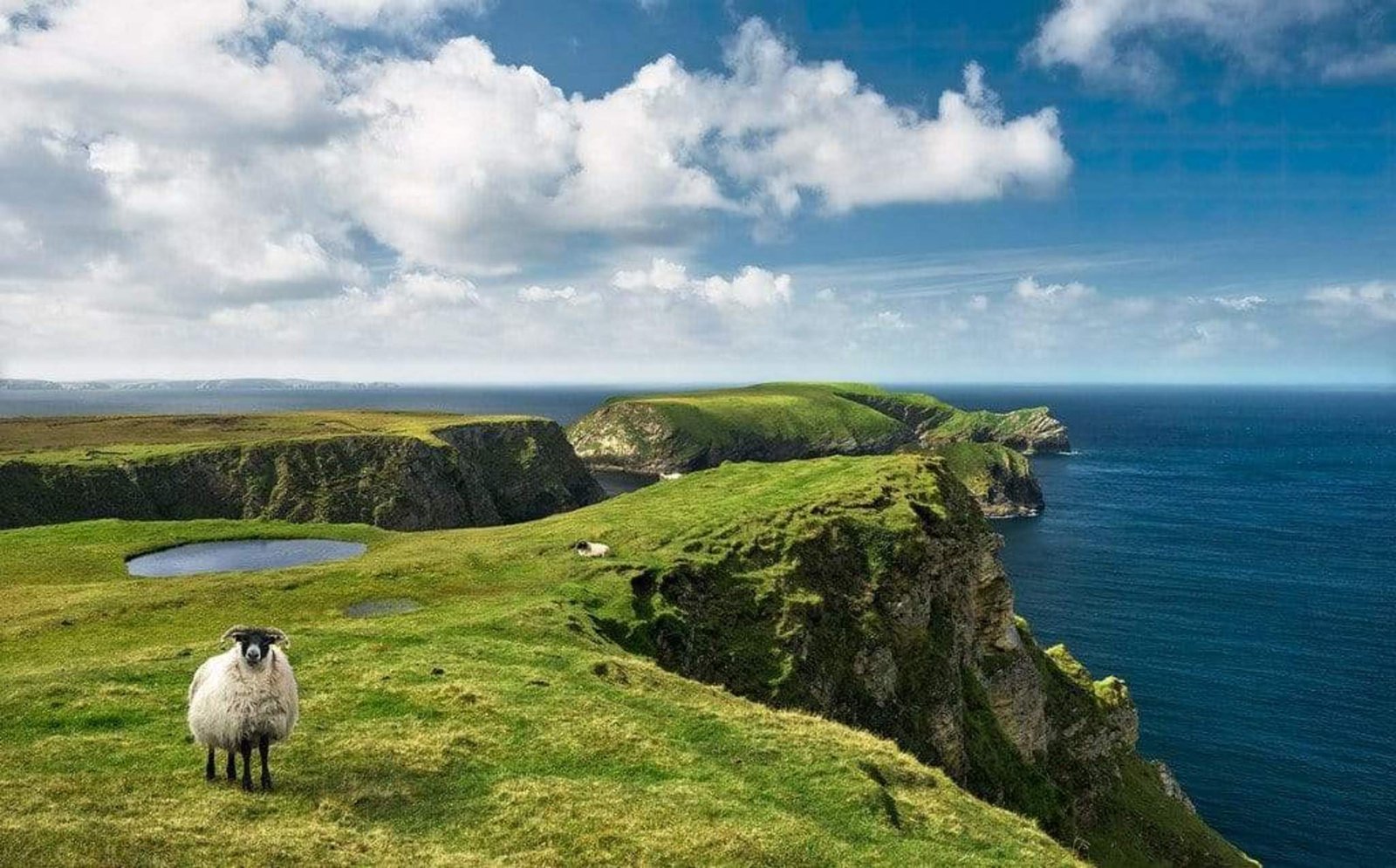 Fotobehang - Green Ireland 450x280cm - Vliesbehang 1 Fotobehang - Green Ireland 450x280cm - Vliesbehang